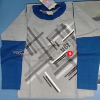 Remera Manga Larga